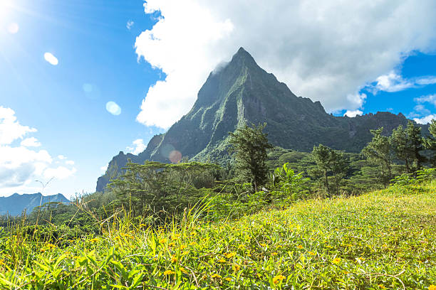 istock Tahiti French Polynesia 499934508