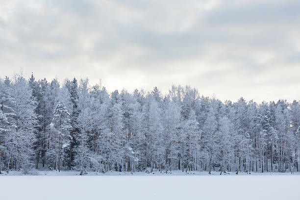 istock Winter lake scenery in finland 499935752
