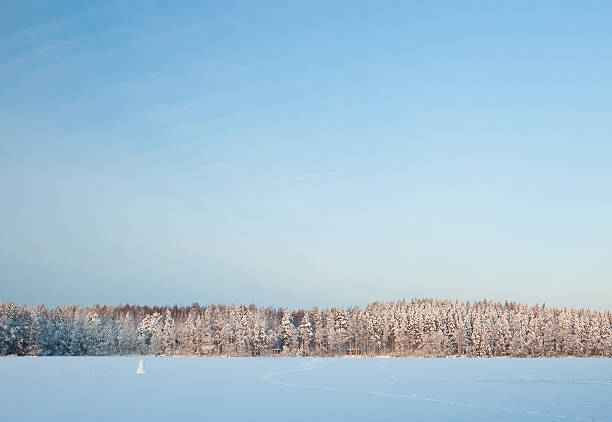 istock Winter lake scenery in finland 499935800