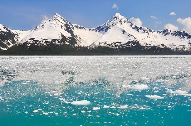 Aialik bay, Kenai Fjords national park (Alaska) stock photo