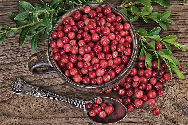 istock Cranberry Vintage Still Life 499953718