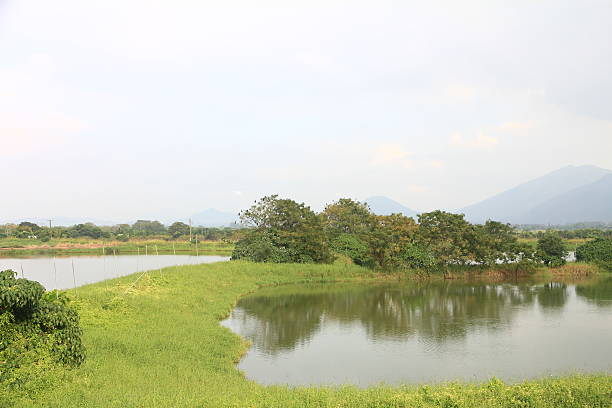 istock Hong Kong's Countryside 499958574