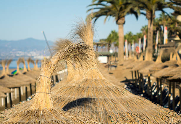 istock Sun shades above loungers on beach 499958696