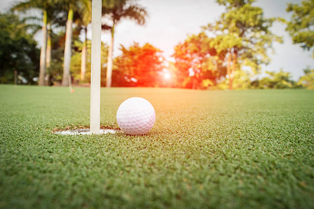 istock Golf ball on the green 499959234