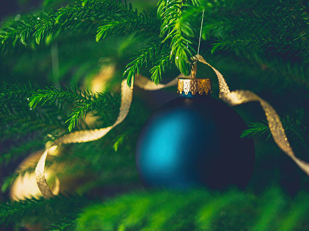 istock Deep blue and gold Christmas baubles on Christmas tree branches 499960532
