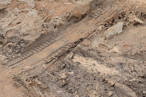istock Tire tracks on muddy dirt road 499960778