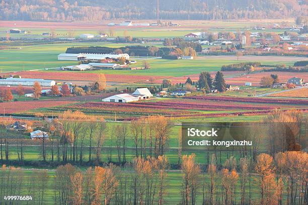 Fraser Valley Autumn Sunset Stock Photo - Download Image Now - Abbotsford - Canada, British Columbia, Blueberry