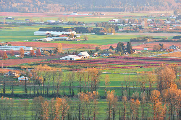 Fraser Valley zachód słońca w jesieni – zdjęcie