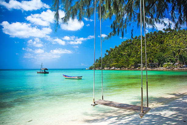 Swing hang from coconut tree over beach, Phangan island ,Thailand Swing hang from coconut tree over beach, Phangan island koh chang stock pictures, royalty-free photos & images