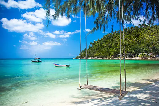 Swing hang from coconut tree over beach, Phangan island