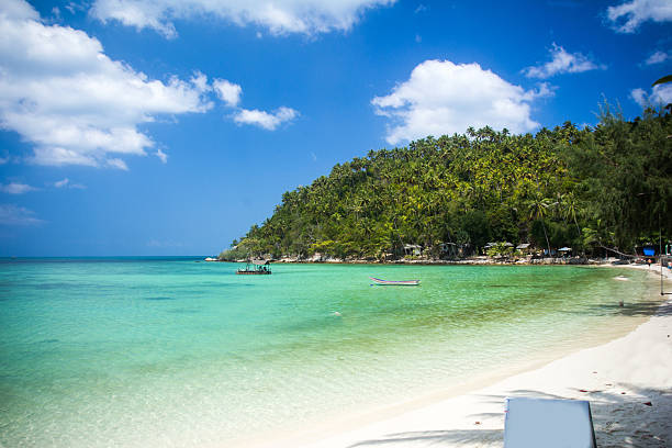 istock Tropical beach at Koh Phangan - nature background. Thailand 499978547