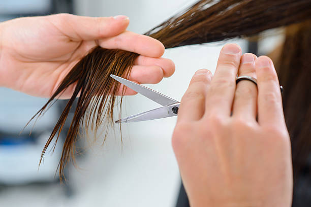istock Hair trimming procedure in progress 499979422