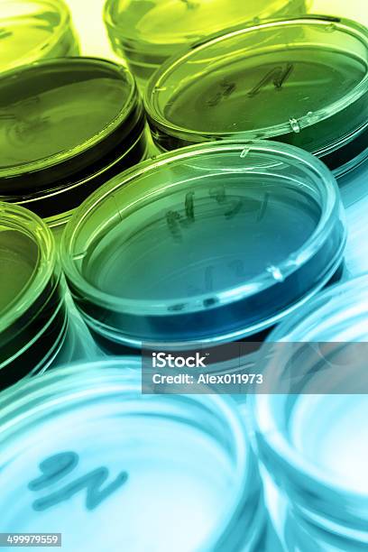 Color Liquid In Old Plastic Petri Dishes Stock Photo - Download Image Now - Analyzing, Bacterium, Crockery
