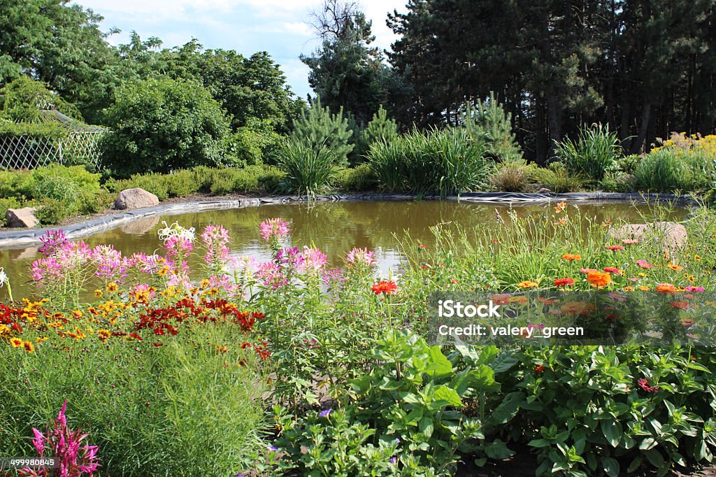 Pond and flower bed in the garden Flower Stock Photo