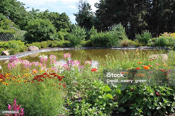 Pond And Flower Bed In The Garden Stock Photo - Download Image Now - Flower, Flowerbed, Formal Garden