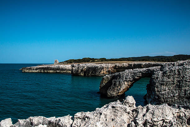 istock Vieste, Puglia - Italy 499982301