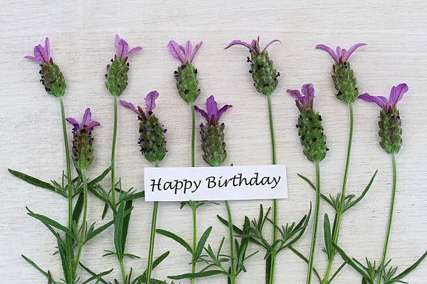istock Happy birthday card with fresh lavender 499983381