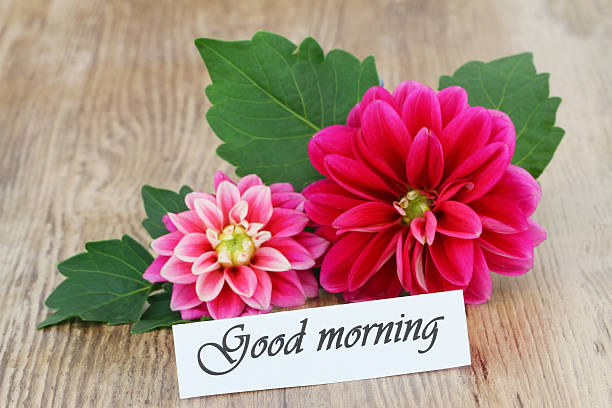 istock Good morning card with pink dahlia 499983765