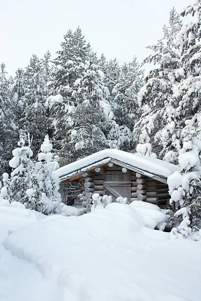istock Small wooden blockhouse in the snow 499998913