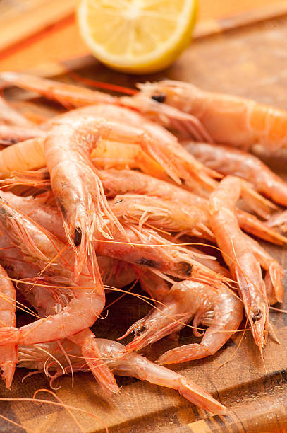 istock crustaceans and gamberetit ready to be cooked 500000307