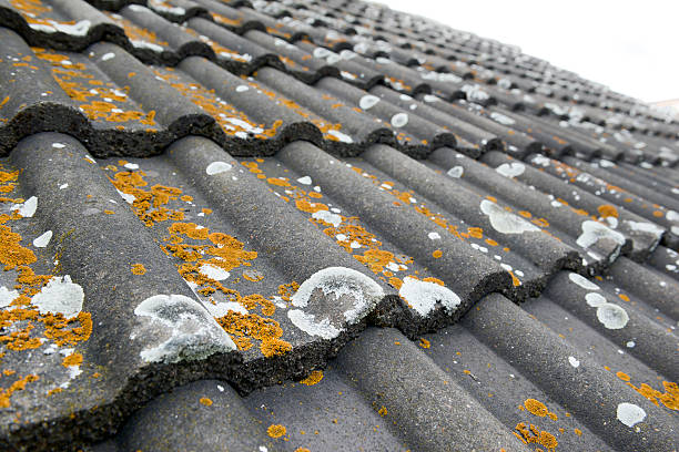 Moss  on old roof stock photo