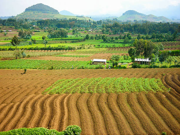 вулканический пепел конусов почв и бывший aucа campus mudende руанда - virunga volcanic complex стоковые фото и изображения