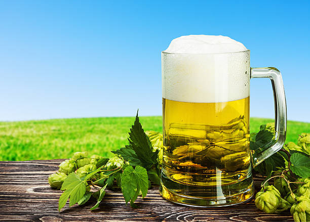 istock Mug with Beer with hop on a wooden table 500003160
