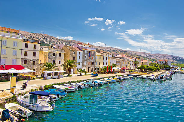 da página colorida cidade de frente para o mar - croatia nature tree plant - fotografias e filmes do acervo