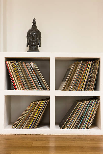 istock Vinyl Records In Shelf 500003817