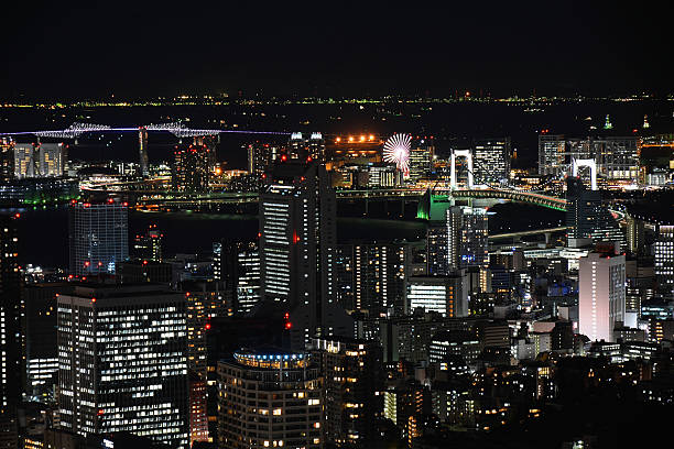 istock Greater Tokyo area dense building cityscape at dusk 500007216