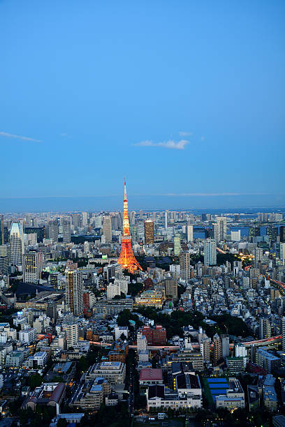 istock Tokyo area dense building nightscape and Tokyo tower 500016158