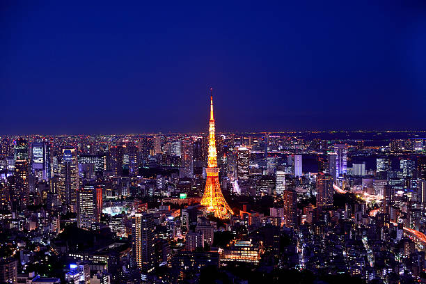 istock Tokyo area dense building nightscape and Tokyo tower 500016728