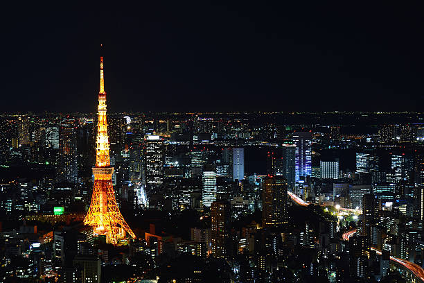 istock Tokyo area dense building nightscape and Tokyo tower 500016884