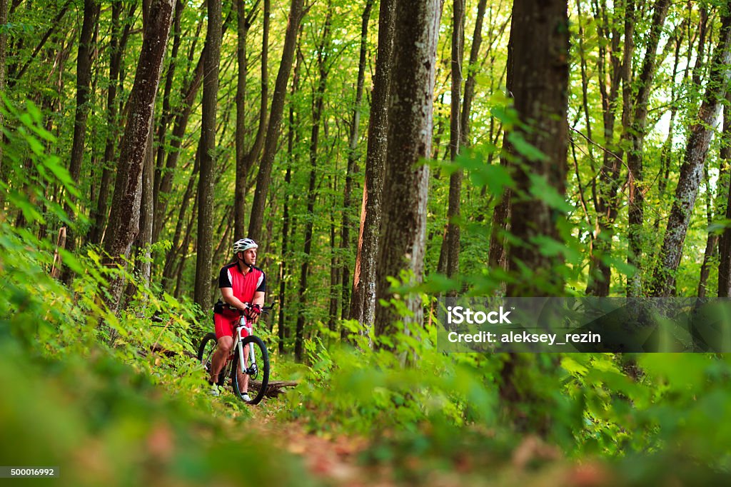 Biker on the forest road riding outdoor Biker on the forest road riding outdoor in sunny summer day 20-24 Years Stock Photo