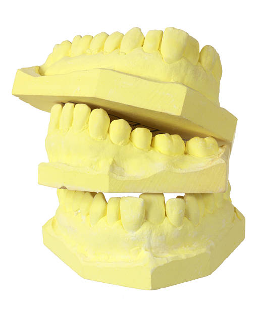 зубов зубов пресс - dentures human teeth stack laboratory стоковые фото и изображения