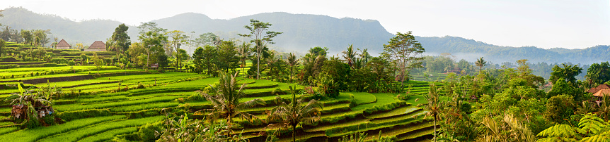 Panoramic view of the village of Sidemen, in east Bali, boasts some of the most beautiful and dramatic rice terraces in Indonesia.