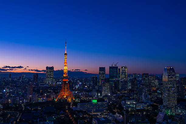 istock Tokyo area dense building nightscape and Tokyo tower 500017884