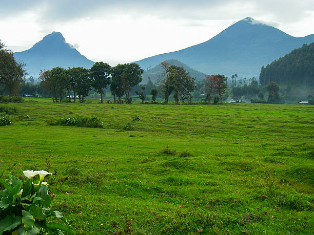 вулканы mudende mugongo вирунга по руанде центральной африке - virunga volcanic complex стоковые фото и изображения