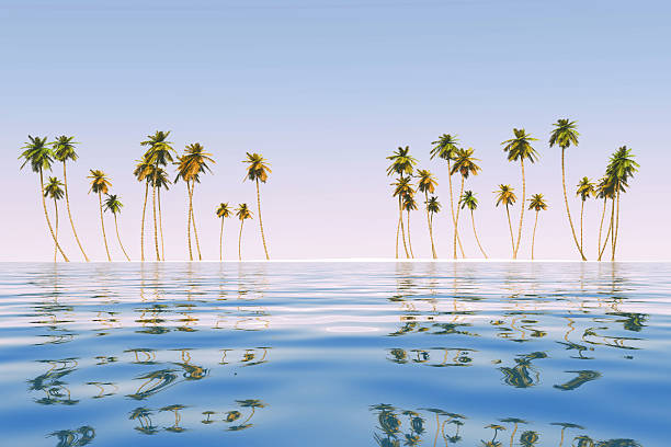 istock coconut island at tropic sea 500019695