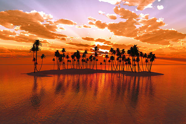 istock sunset over tropic atoll 500019803