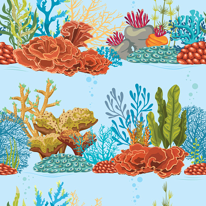 Sea Water Ree Pattern Underwater Seamless Pattern With Coral Reef Stock Illustration ...