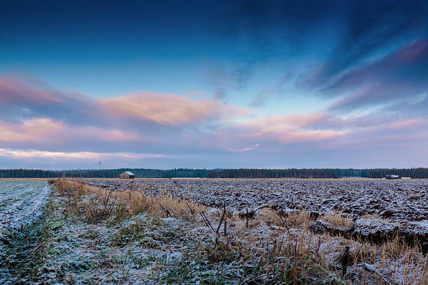 морозный поля - winter finland agriculture barn стоковые фото и изображения