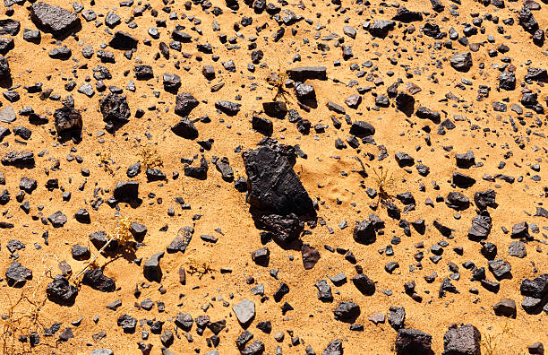 istock stones in the Sahara desert 500021262