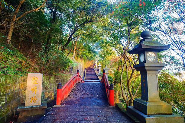 istock the fall season of Taiwan 500021893