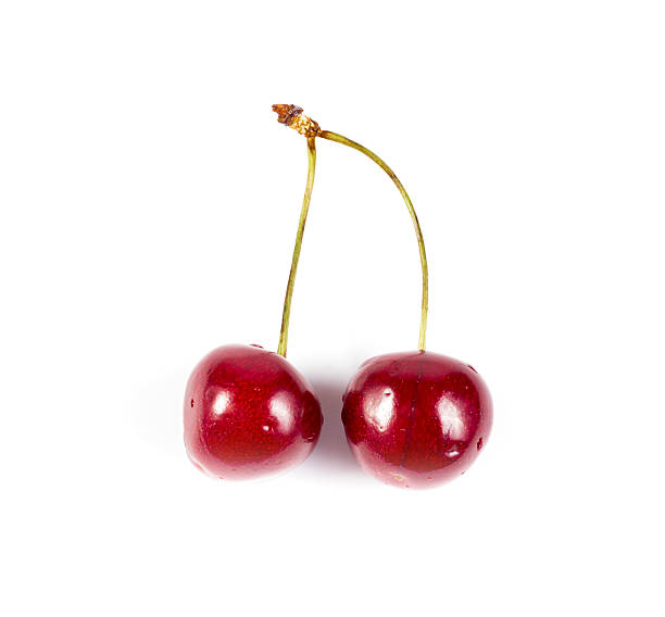 istock Pair of cherries isolated on white 500030520
