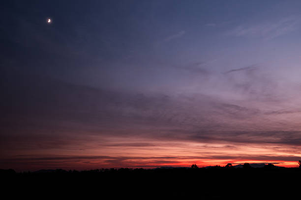 istock Evening light in the warm Toscana 500031512