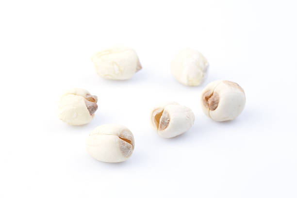 Dry lotus seeds on the white background