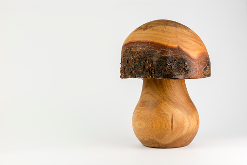 Wooden mushroom carved out trunk of a birch as decorative background.