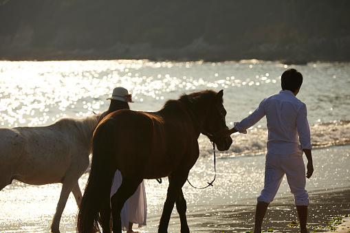 Chinese couple walking on beach with horses at sunset
