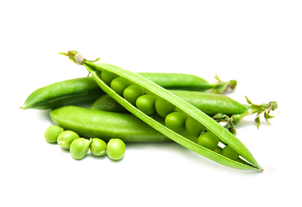 frische grüne erbse in der pod - green pea pea pod sweet food freshness stock-fotos und bilder